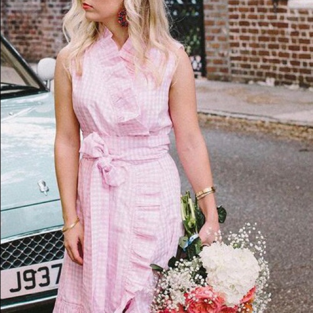 Elizabeth Wilson Designs pink PLUS size gingham dress. Ruffles & huge bow! XXXL